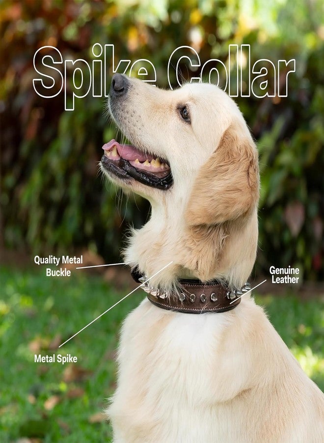 ADIL'S Leather Dog Collar 32mm with Spike, Adjustable Metal Buckle Studded Collars for Small, Medium, & Large Dog with D Ring, Width (1 ,1.5 ,1.25 ) Size (14 to 28 in),Black (Brown, S(12"-16")) - Image 3